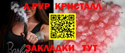 apvp Кингисепп