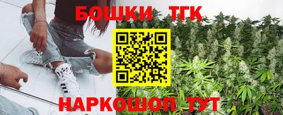 apvp Кингисепп