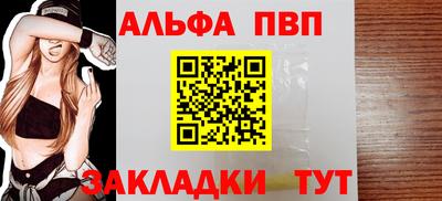 apvp Кингисепп