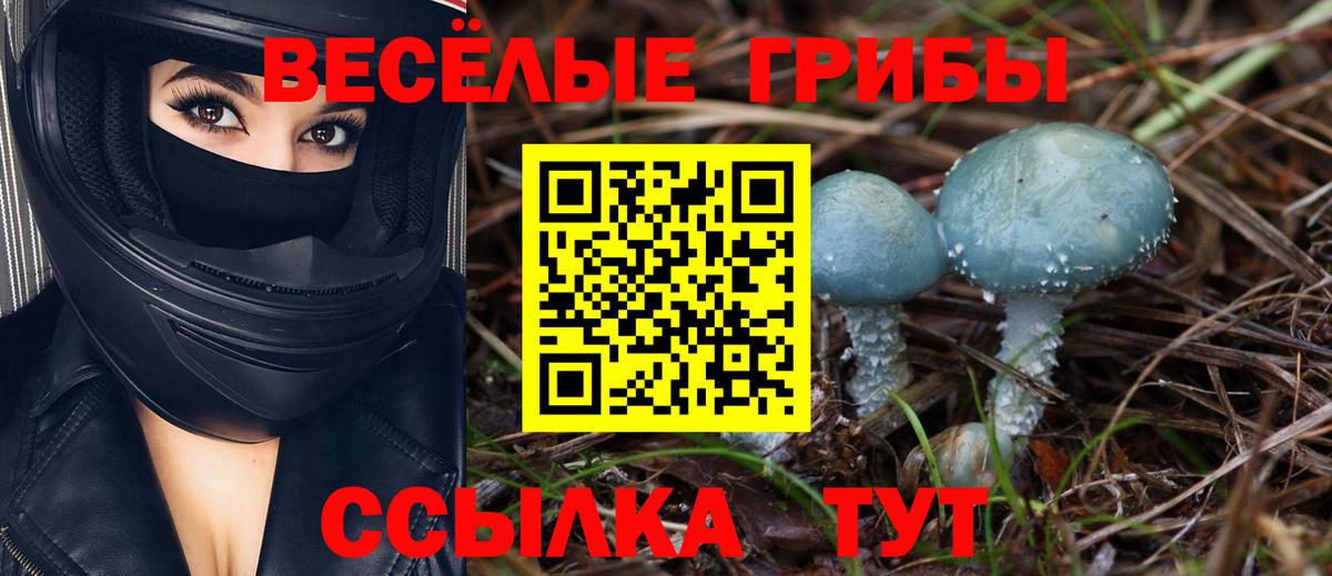 Псилоцибиновые грибы GOLDEN TEACHER Красногорск